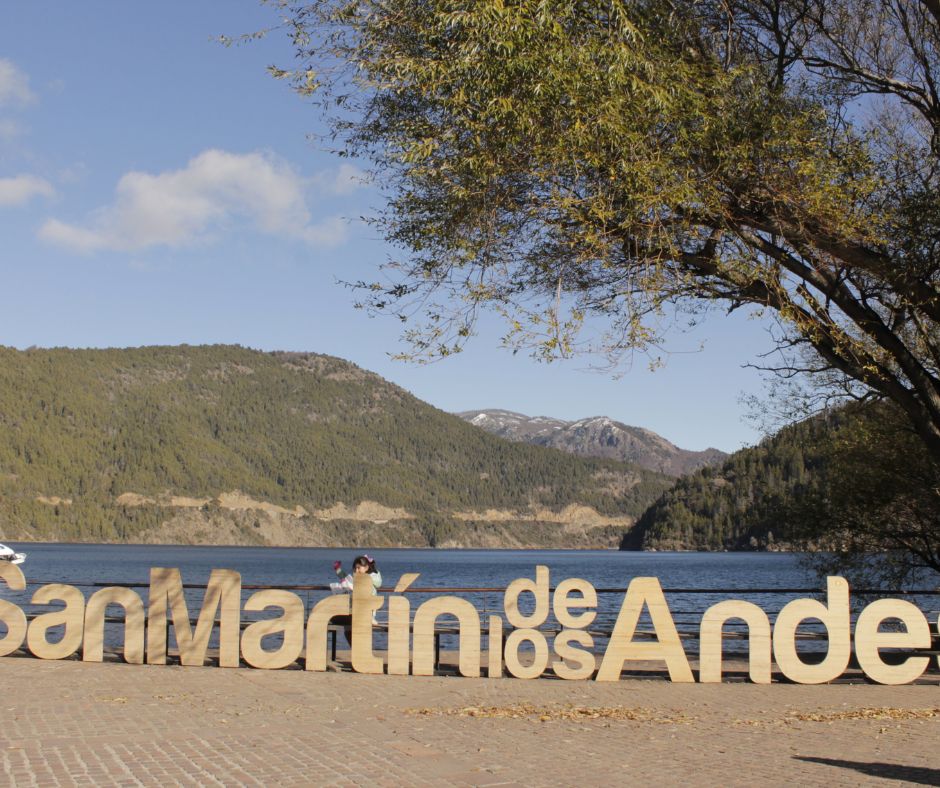 Imagen de la galería