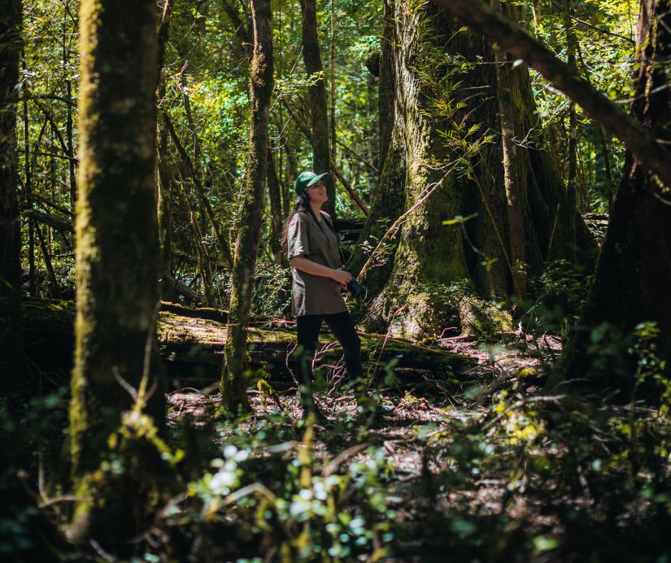 Imagen de la galería