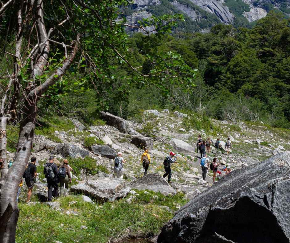 Imagen de la galería